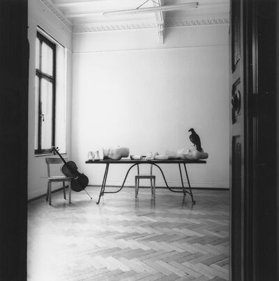 JANNIS KOUNELLIS, Museum Mönchengladbach 1978, Raum III, Foto: Ruth Kaiser, Archiv Museum Abteiberg﻿, © VG Bild-Kunst, Bonn 2024